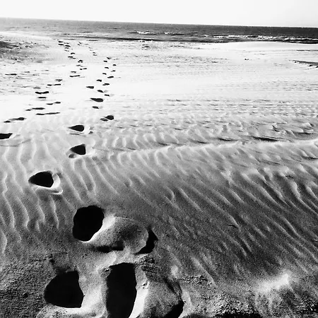 Apartman Loftbeach Koksijde