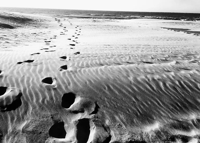 アパート Loftbeach コクセッド