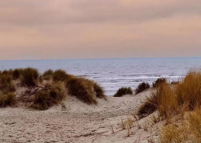 Loftbeach * コクセッド